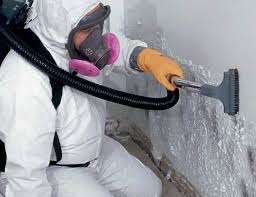 Professional Mold Remediation in Quincy, IL